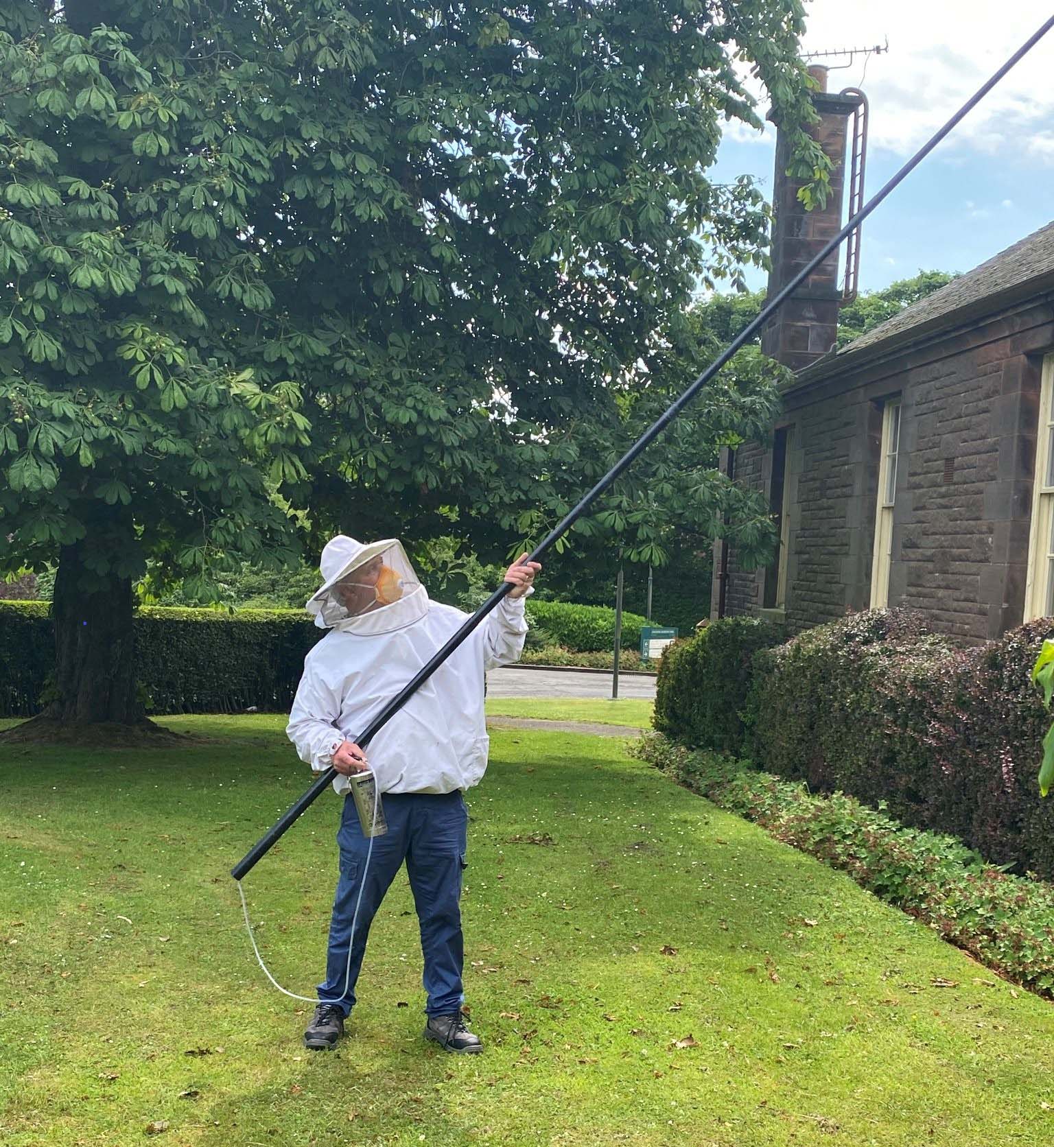 Disposing of a wasps nest